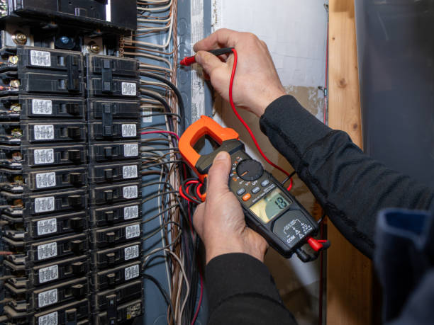 Best Ceiling Fan Installation Electrician  in Forest City, FL